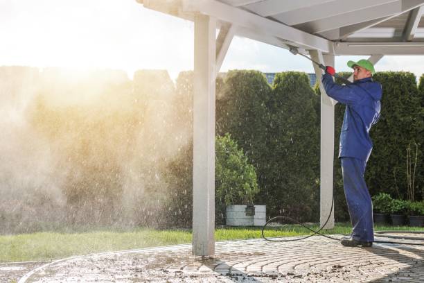Best Fence Cleaning  in Bruceton, TN