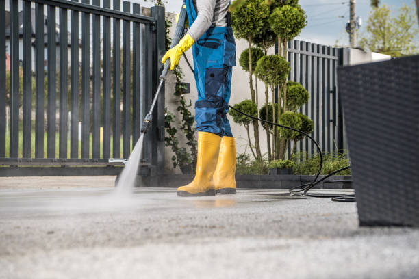 Best Patio and Deck Pressure Washing  in Bruceton, TN